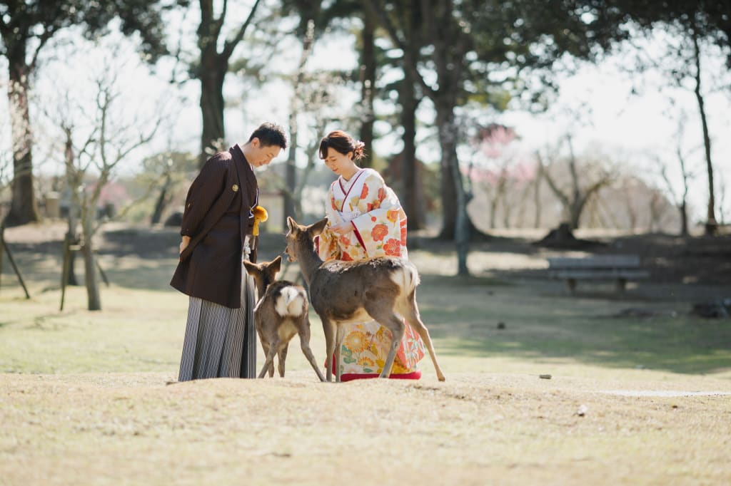 梅と鹿in奈良公園