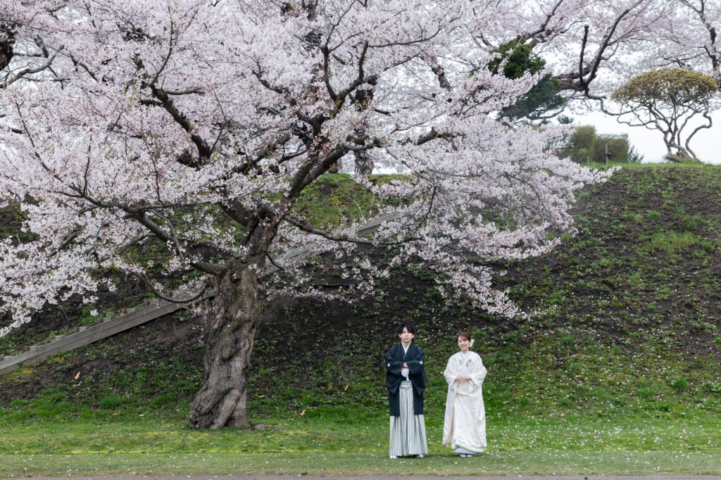 五稜郭公園 | デコルテフォトグラフィー | 前撮り・フォトウェディング