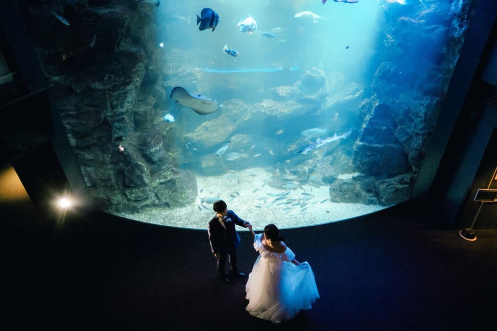 京都水族館