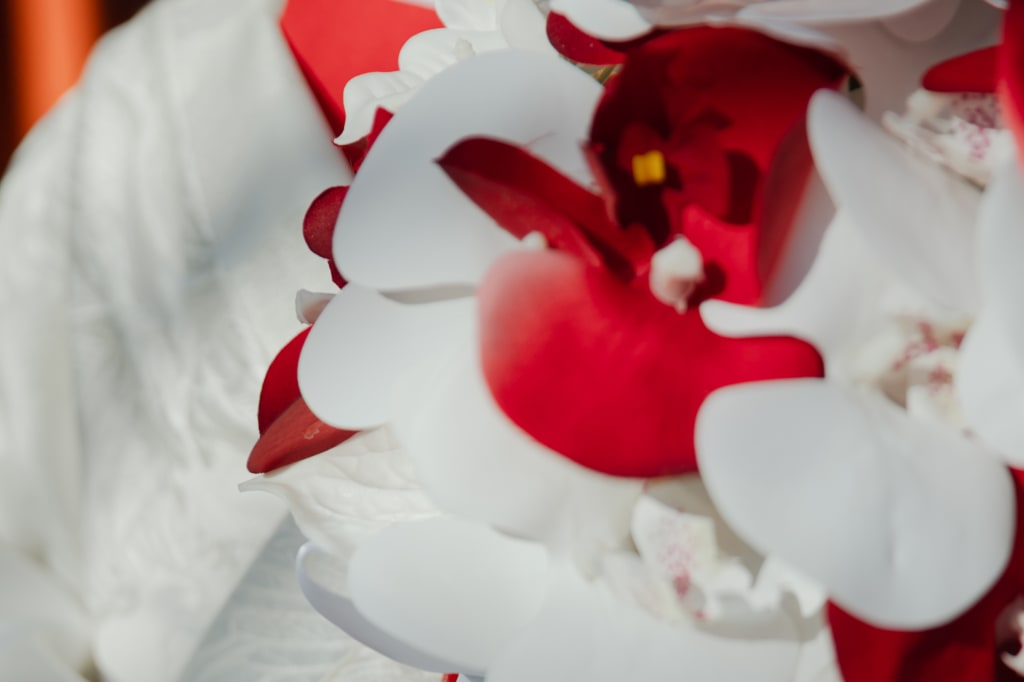 紅白を身に纏う