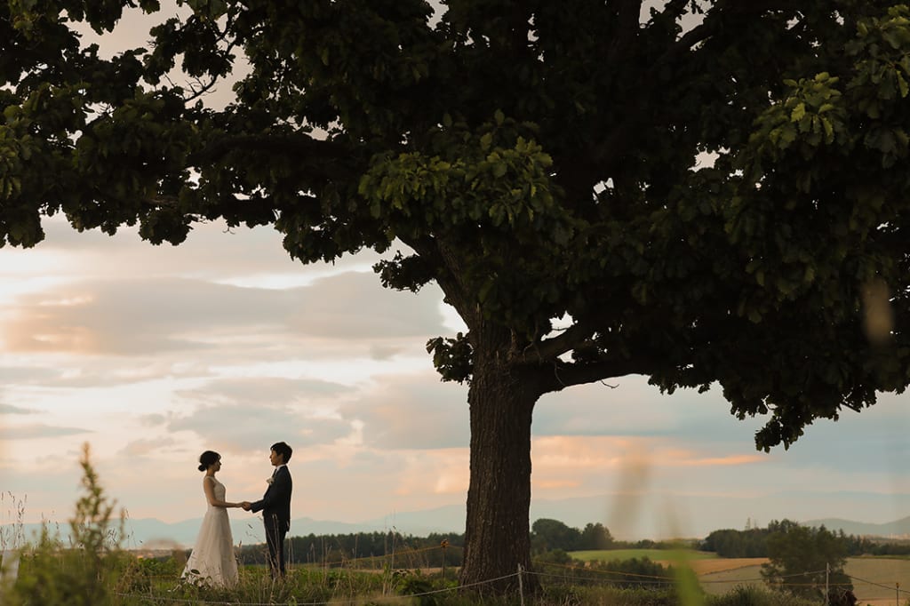 富良野 or 美瑛の花畑＋美瑛の丘プラン | フォトウェディング・前撮り・結婚写真