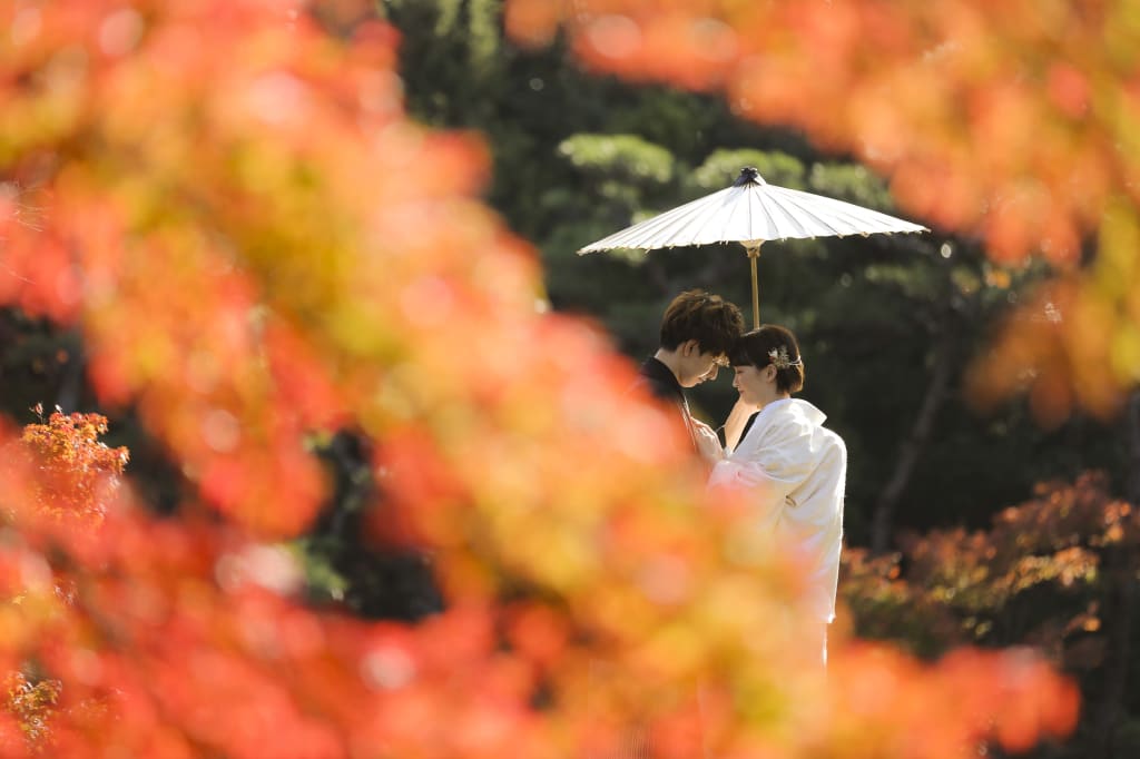 相楽園ロケーションプラン | スタジオTVB 神戸ハーバーランド店 | フォトウェディング・前撮り・結婚写真