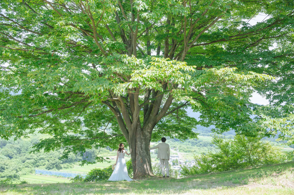 【軽井沢】洋装２箇所プラン♪飯綱山公園＆白糸の滝