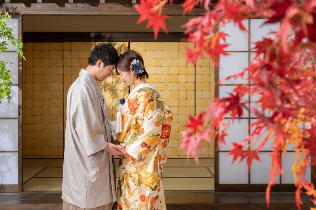 屋内庭園スタジオ