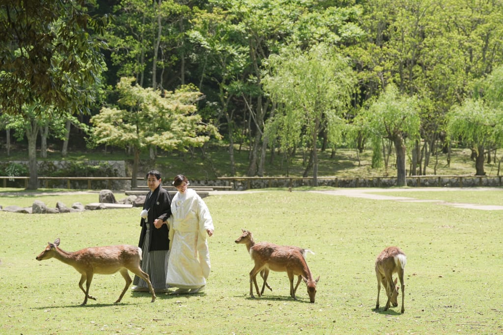 動物好きなお二人！鹿ちゃんとの和装撮影