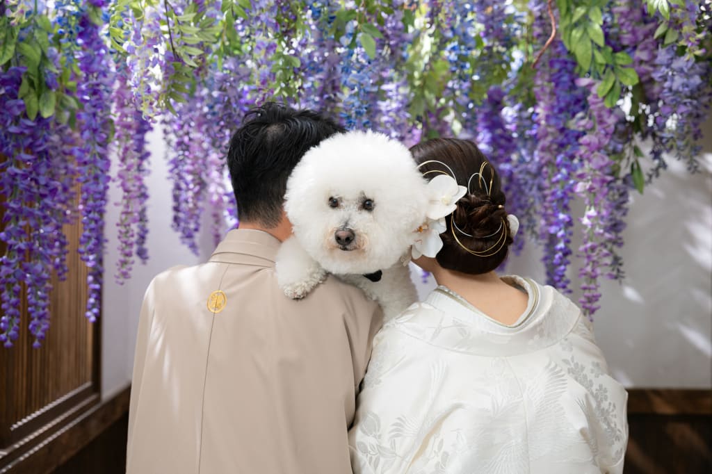 愛犬とおふたりの好きなものとウェディングフォト！