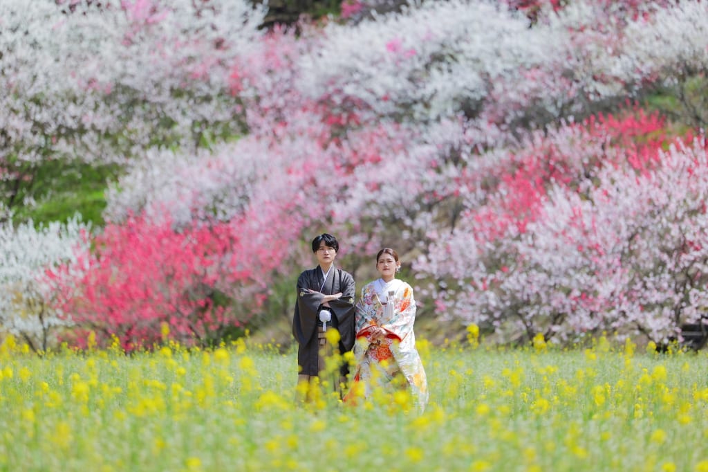 花桃の里