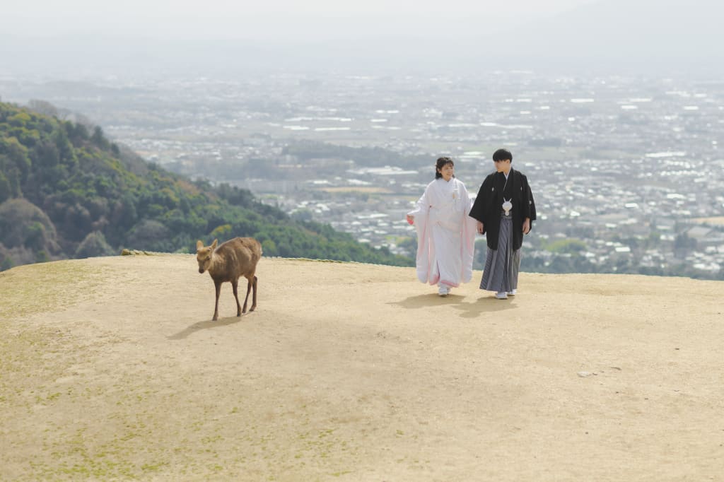 奈良の街が一望できる！若草山ロケーション