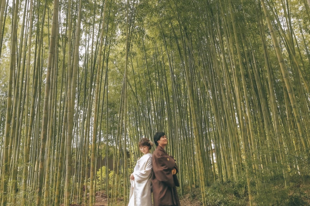 嵯峨大覚寺ロケーションプラン | フォトウェディング・前撮り・結婚写真