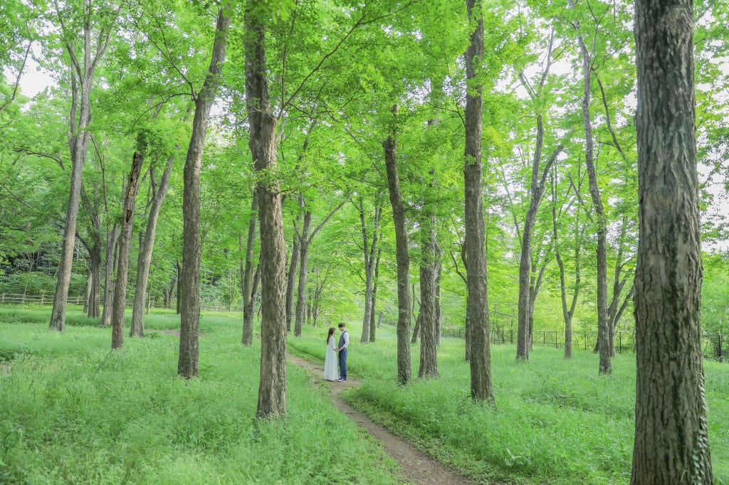 狭山公園