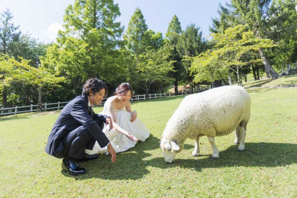 六甲山牧場&六甲サイレンスリゾート | デコルテフォトグラフィー | 前撮り・フォトウェディング