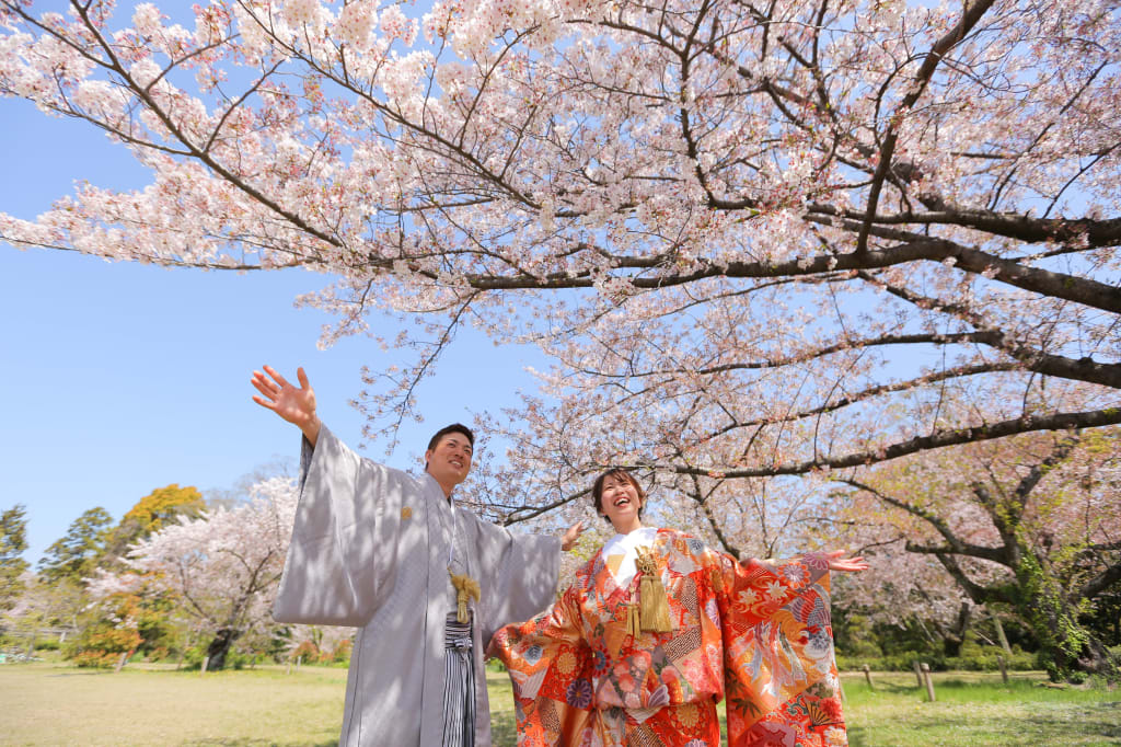 桜といっしょに。