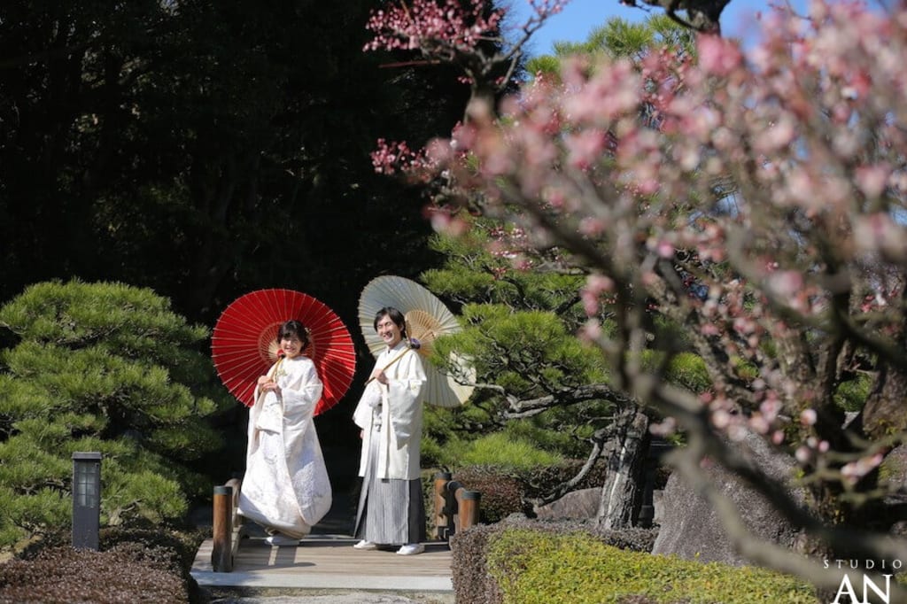 梅の花咲く日本庭園で