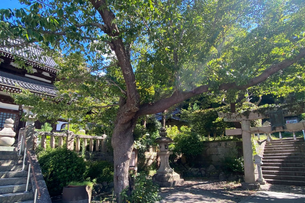 有馬温泉 | デコルテフォトグラフィー | 前撮り・フォトウェディング