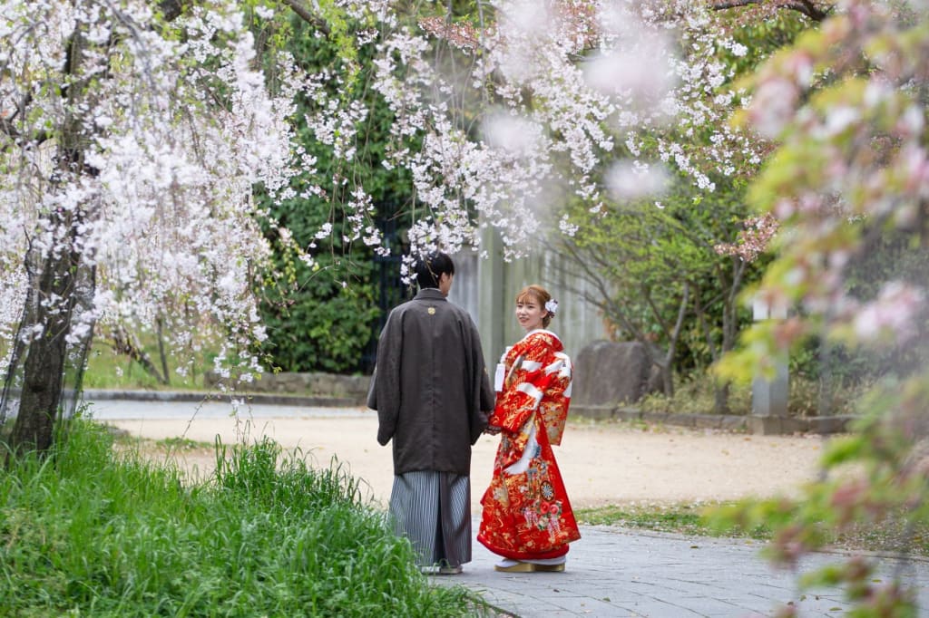 和装桜ロケーション撮影◎