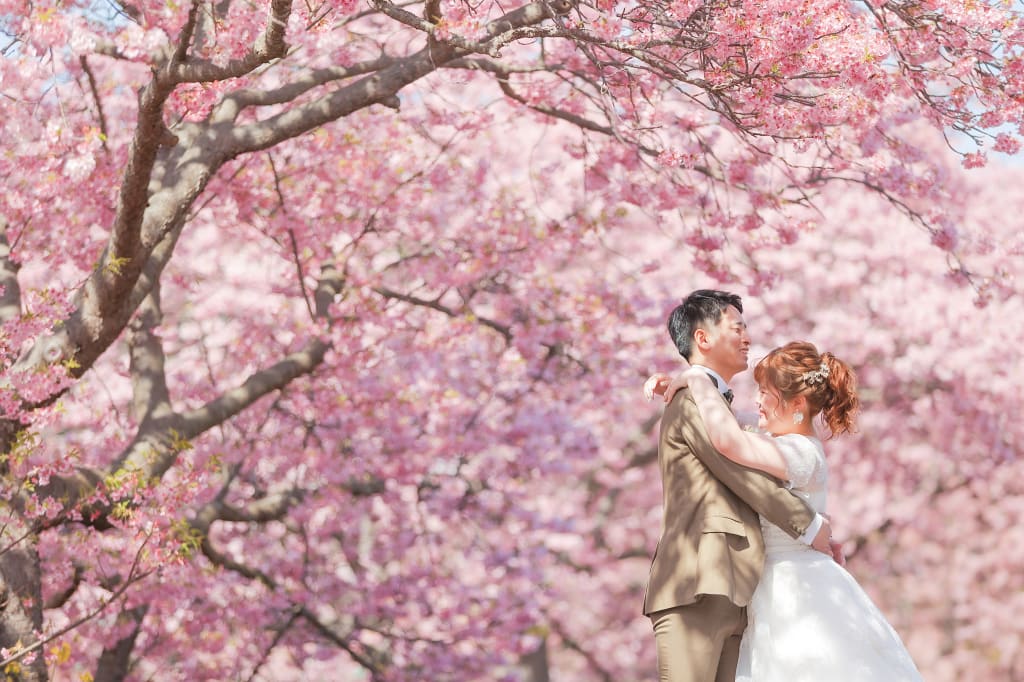 桜の季節photo by 谷澤明美