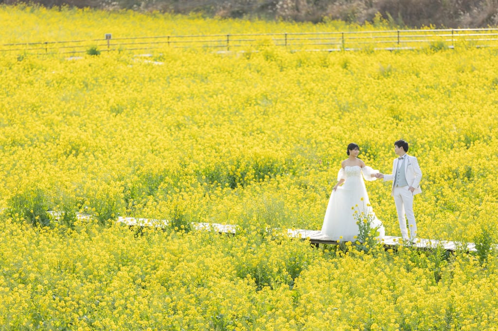 春の白浜神社で海やお花とのお撮影はいかがですか？