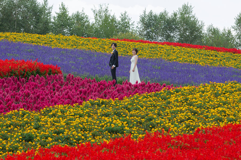 四季彩の丘 | デコルテフォトグラフィー | 前撮り・フォトウェディング