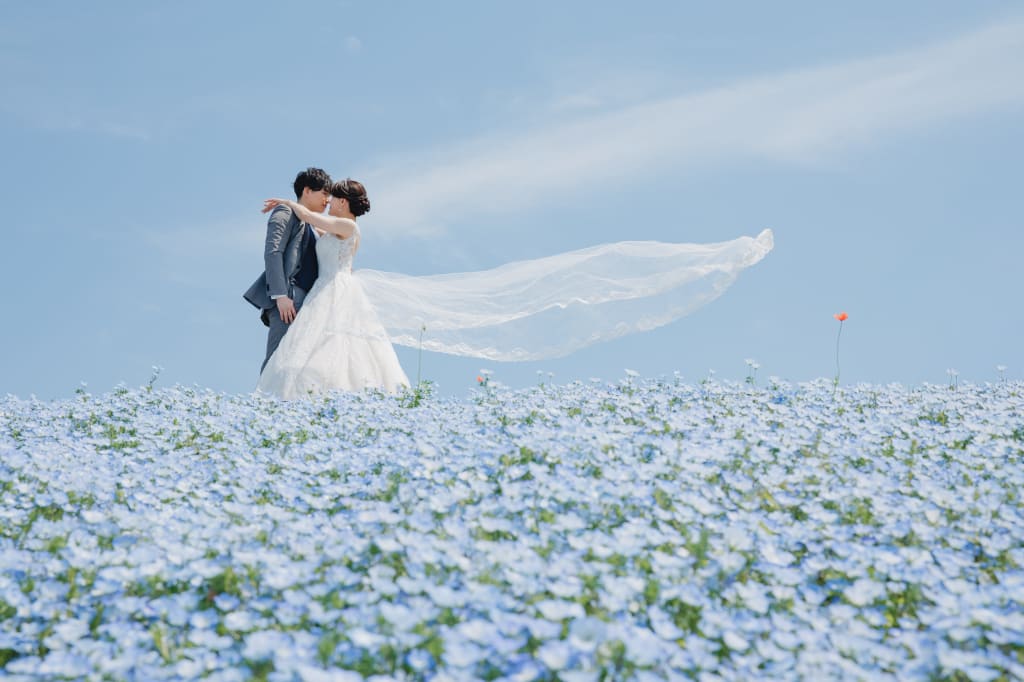 海と花畑で鮮やかに