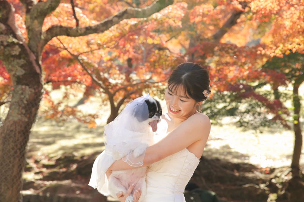 ワンちゃんと！秋のロケーション撮影！