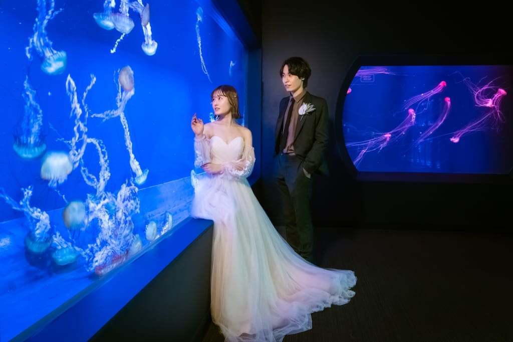 すみだ水族館ロケーションプラン | フォトウェディング・前撮り・結婚写真