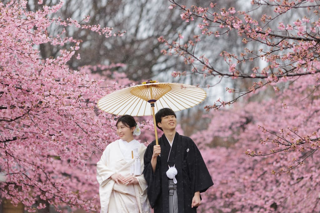 春の訪れ〜桜ロケーション