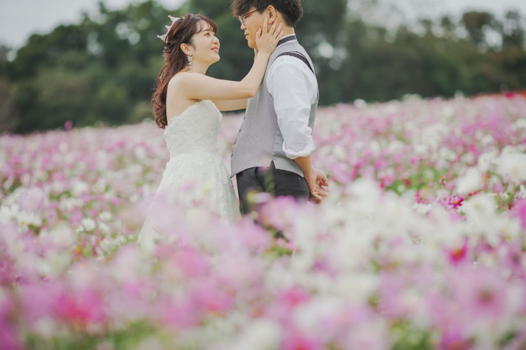 秋の淡路 花さじきロケーション