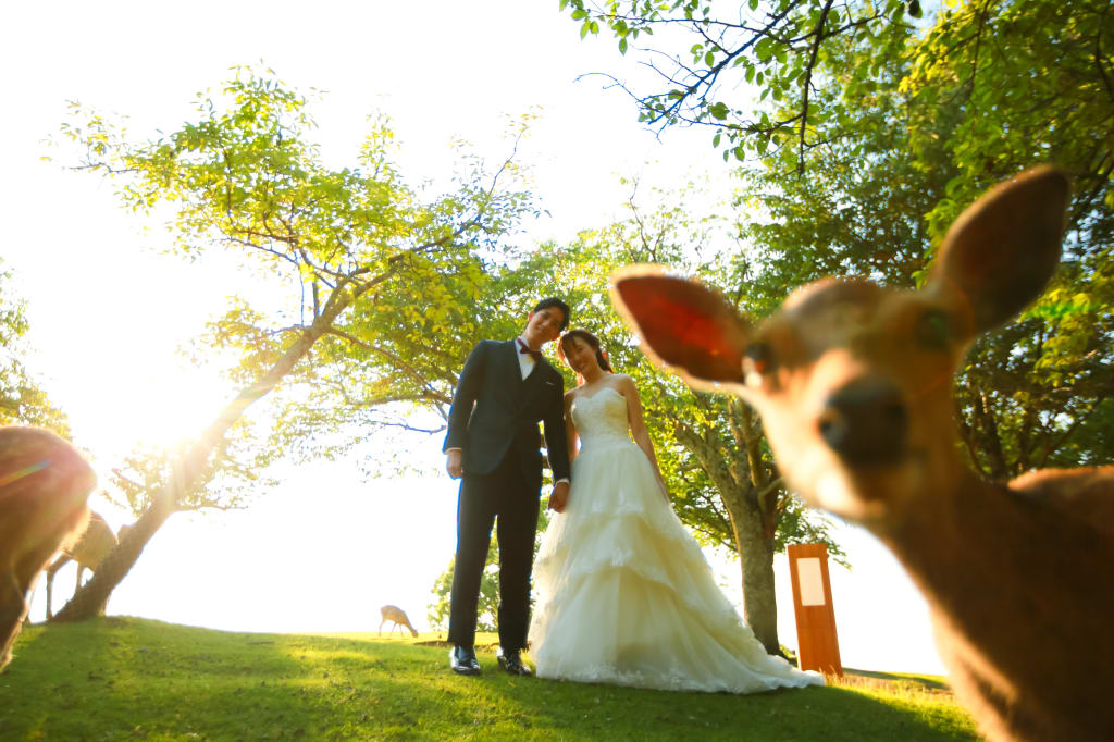 奈良公園から若草山まで