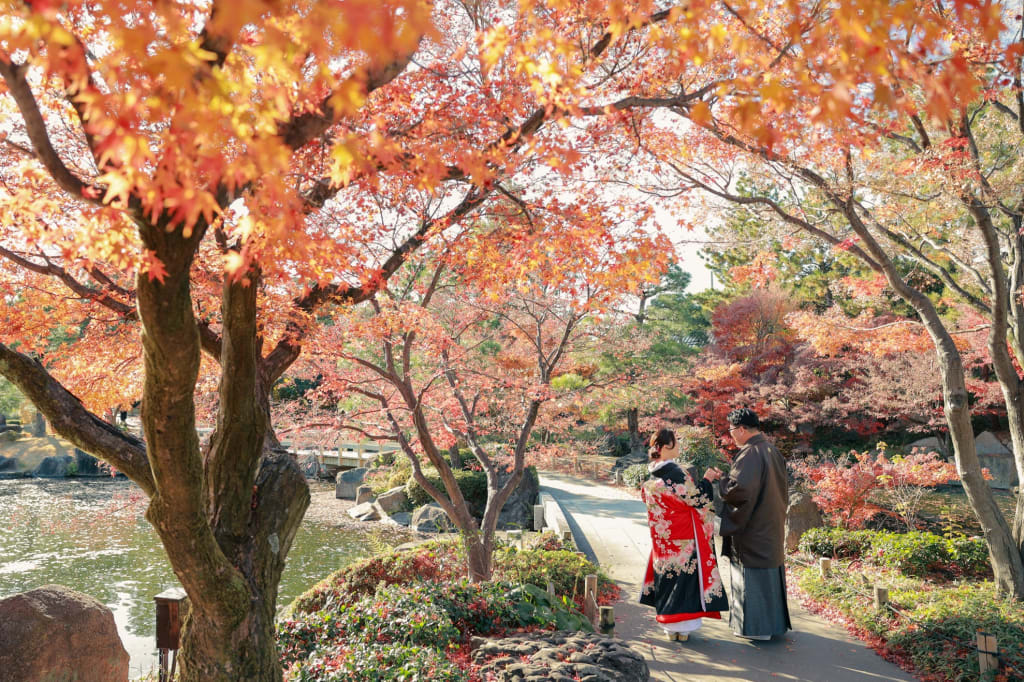 麗らかな紅葉ロケーション
