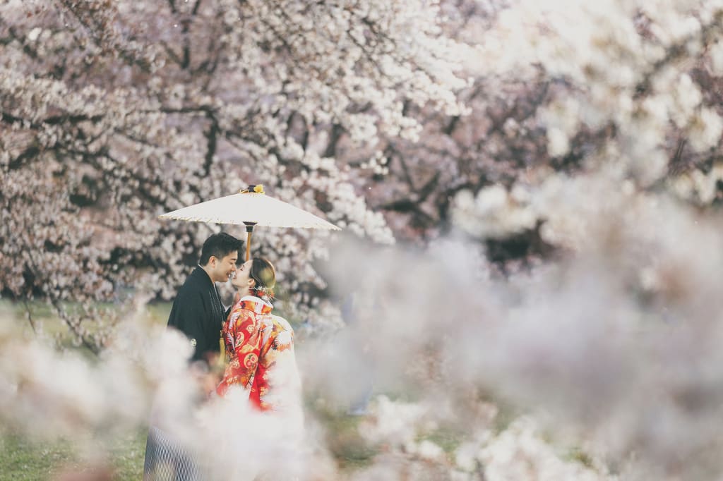 桜の園