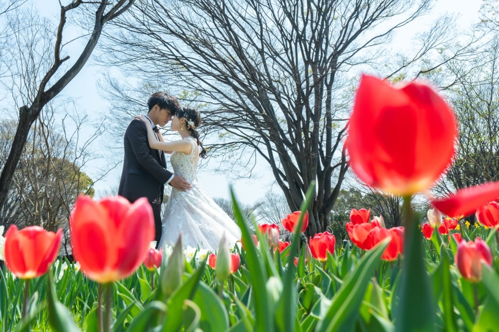 春の昭和記念公園