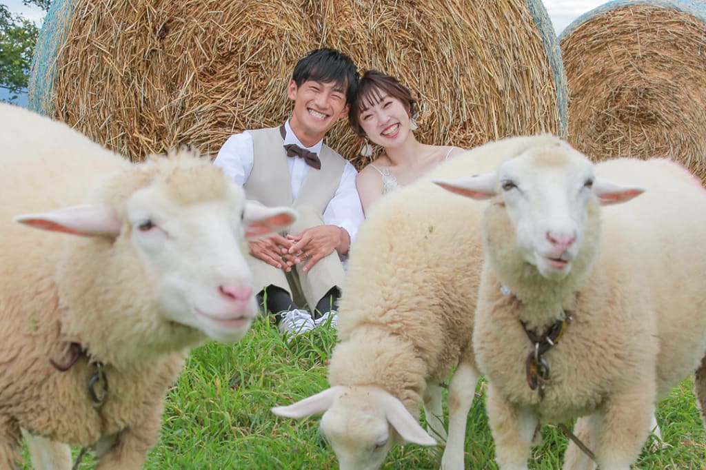 牧場プラン | フォトウェディング・前撮り・結婚写真