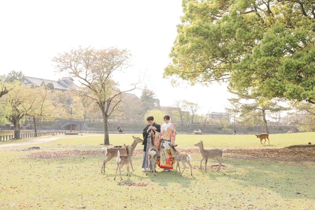 奈良公園で鹿と一緒に♪