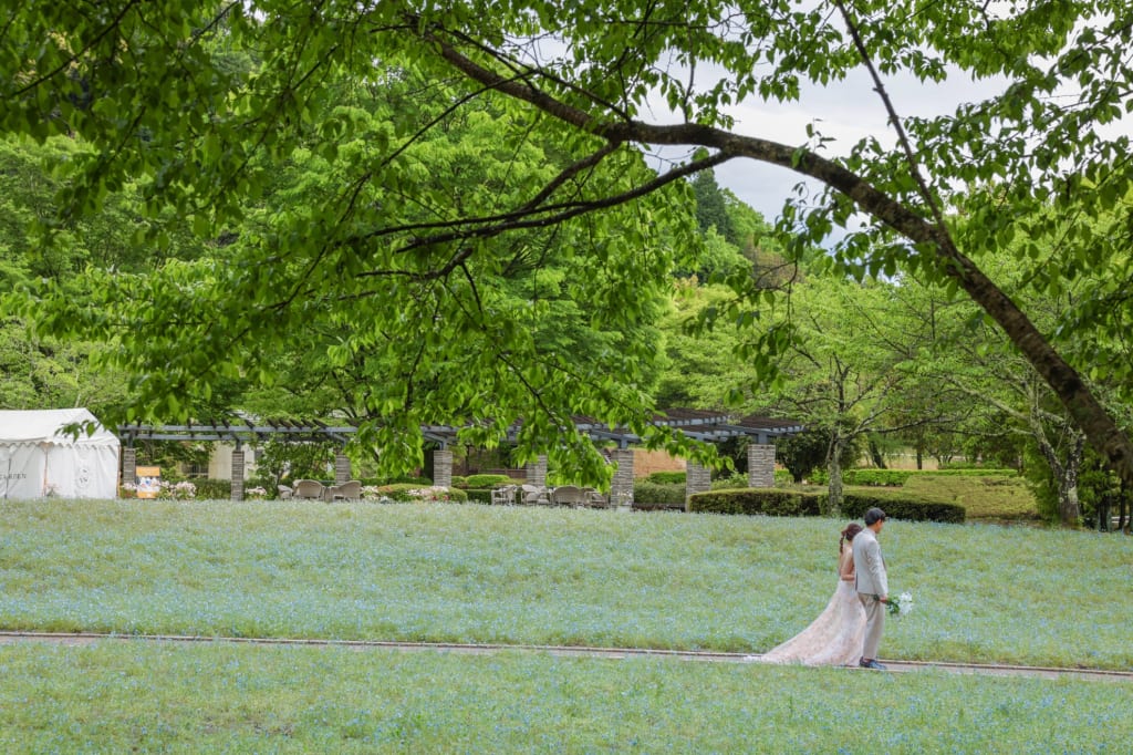 ぎふワールド・ローズガーデンロケーションプラン | スタジオAQUA（東京・関東） | フォトウェディング・前撮り・結婚写真