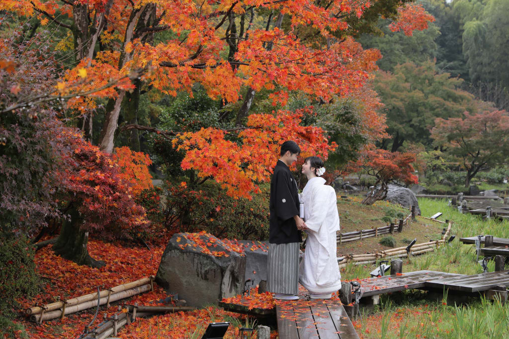 昭和記念公園　秋の雨ロケーション