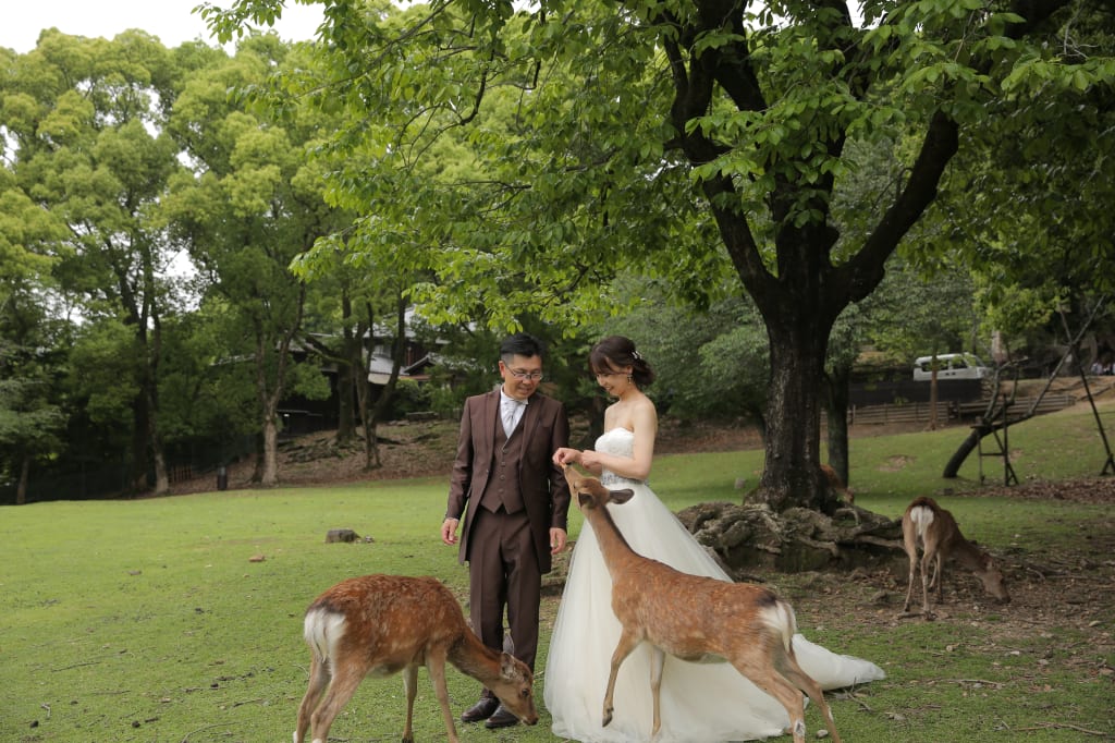 奈良公園＋浮見堂！
