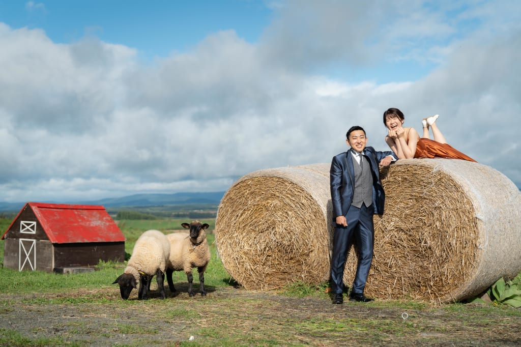 美瑛【牧場🐏さんと広大な景色での撮影をしてみませんか？】