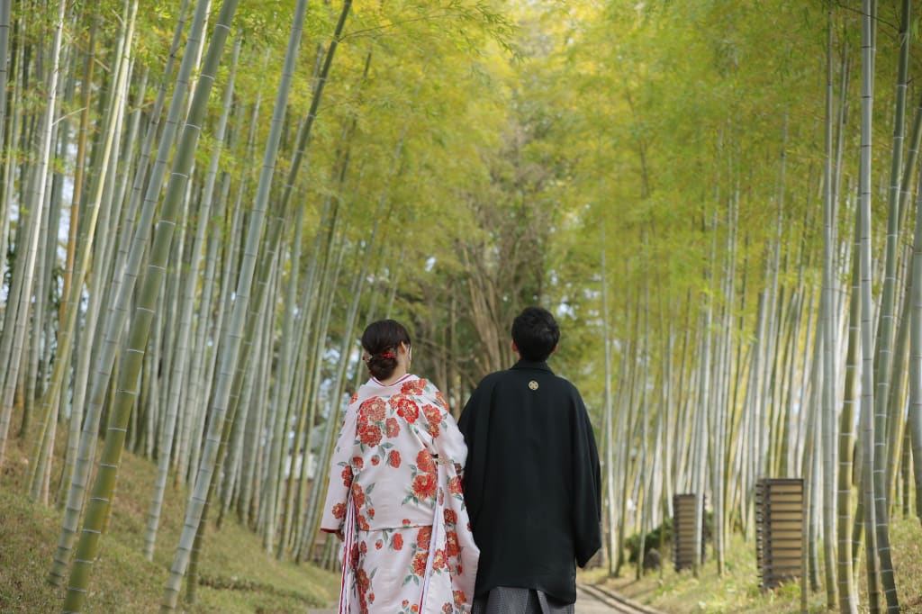 日本らしい竹林の中で