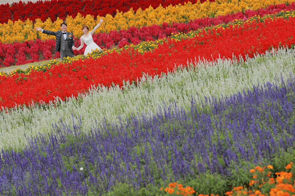 四季彩の丘 | デコルテフォトグラフィー | 前撮り・フォトウェディング