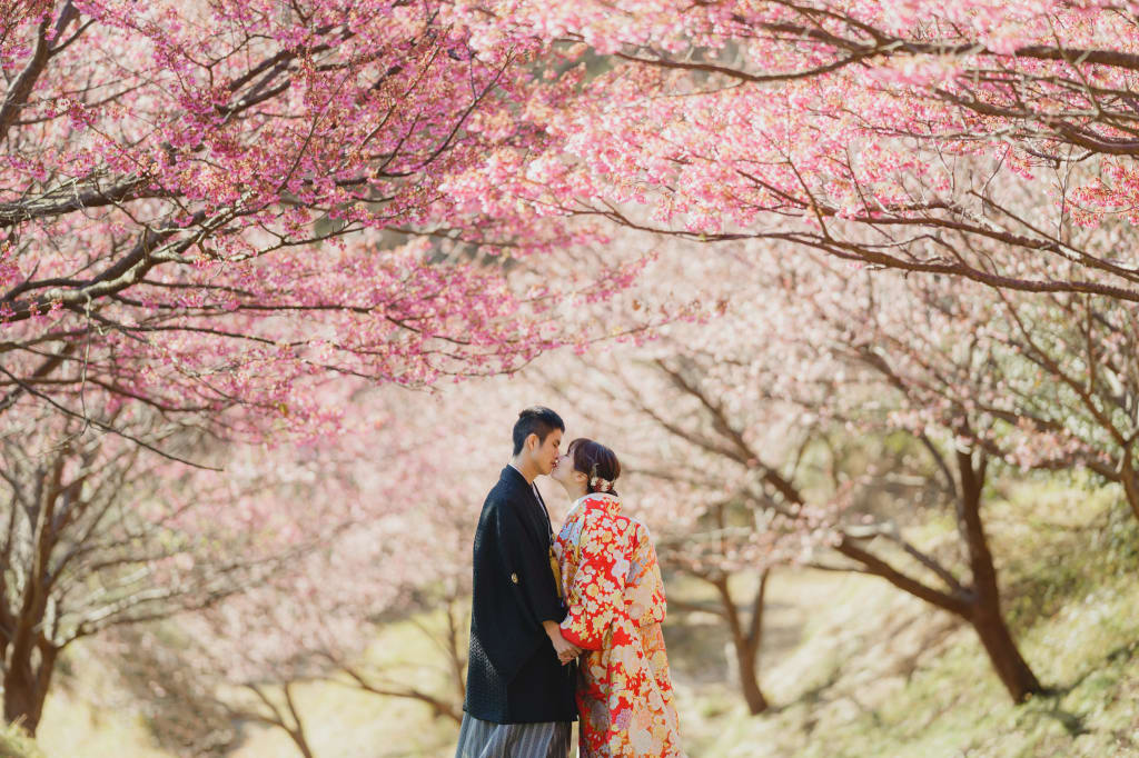 河津桜と菜の花の和洋撮影！！