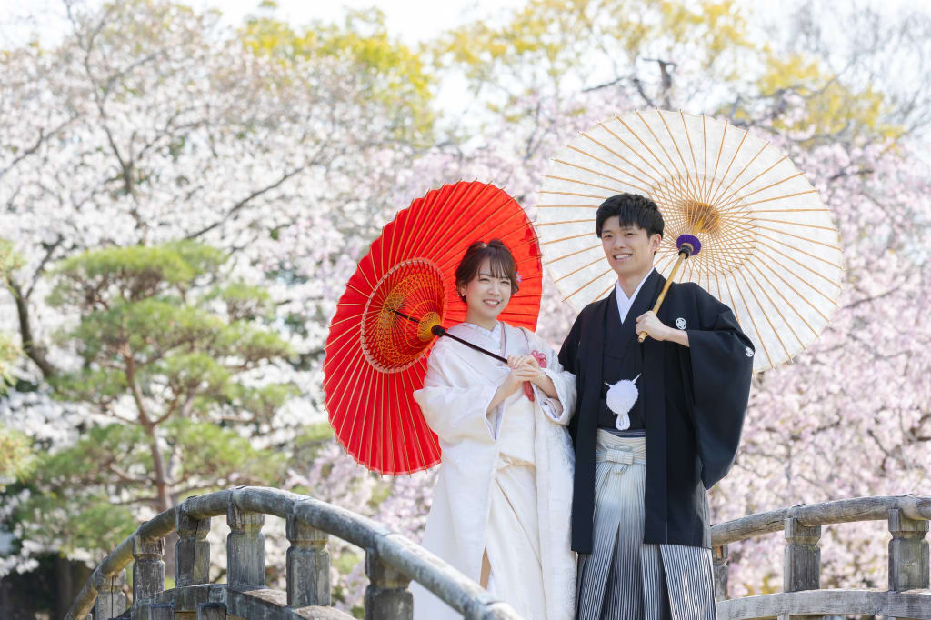 桜が彩る春の花田苑ロケーション