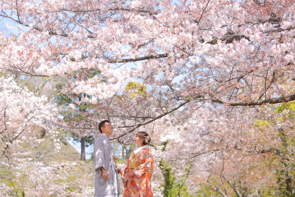 毎年人気の桜ロケ♪