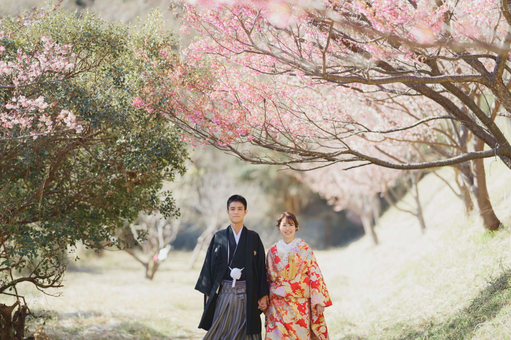 河津桜ロケーション受付始まっています🌸