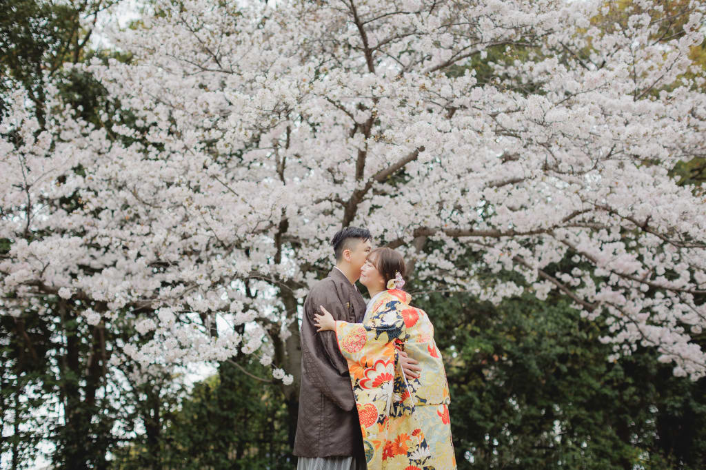 今年も桜が開花しました！