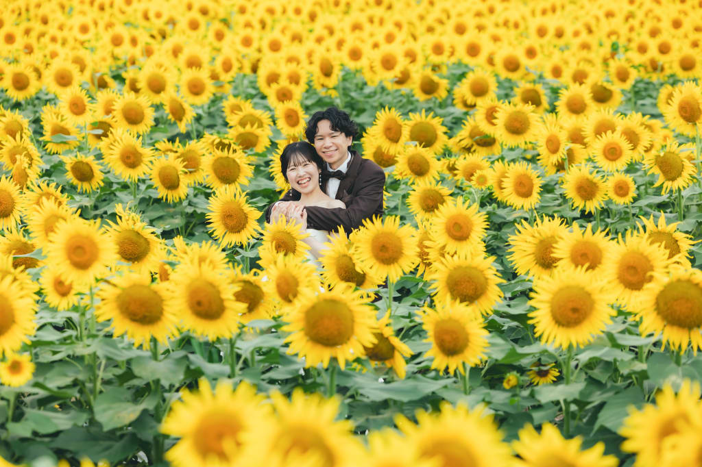 北竜町ひまわりロケーションプラン | フォトウェディング・前撮り・結婚写真