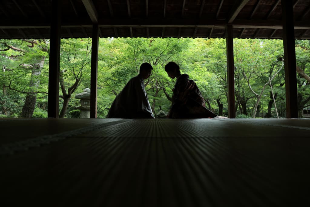 夏の圓光寺