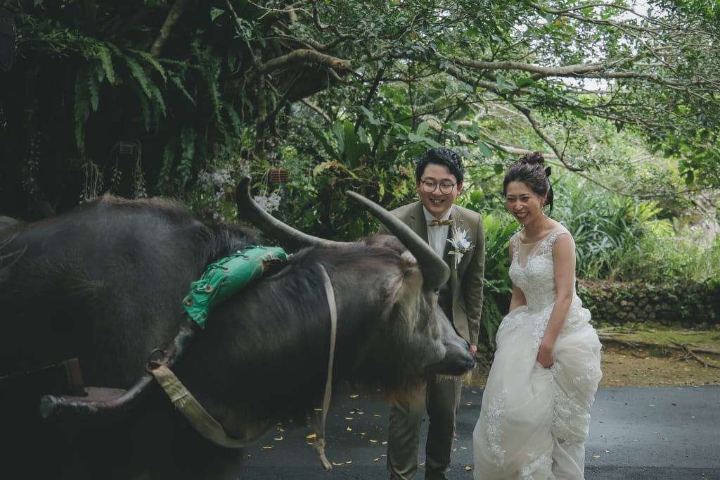 ビオスの丘 | デコルテフォトグラフィー | 前撮り・フォトウェディング