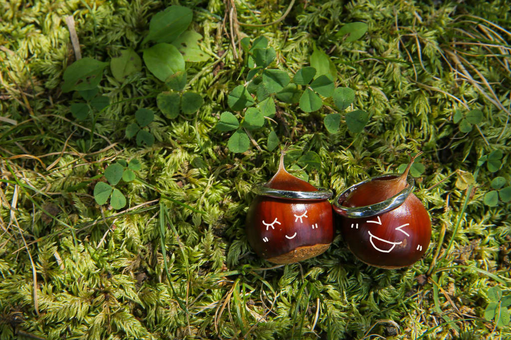 【撮れたて！軽井沢】チャペルとタリアセン