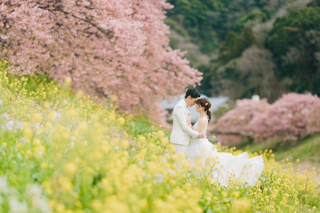 2月河津桜で思い出をつくりませんか？