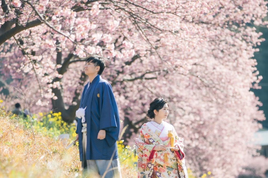 2月に咲く南伊豆の河津桜ロケーションプラン、大人気です